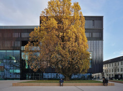 Budova Haus der Musik od architekta Ericha Strolze stojí v kulturním centru Innsbrucku, které tvoří muzea, univerzita, národní divadlo i památkově chráněné stromy. Polotransparentní fasáda stírá hranice mezi vnitřkem a venkem.